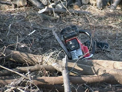 Tânăr de 19 ani din Caporal Alexa, prins după ce a furat o drujbă
