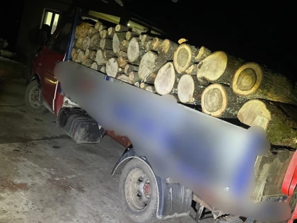 Tânăr din Bârzava, fără permis de conducere, depistat în trafic transportând  lemne fără proveniență legală
