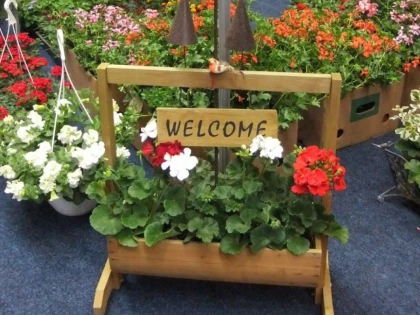 TARGUL PRIMAVERII DEBUTEAZA PESTE DOUA ZILE LA EXPO ARAD