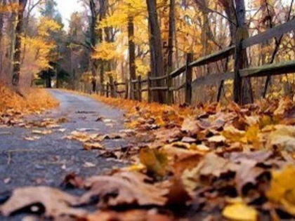 Temperaturi oscilante și precipitații temporare, la nivelul întregii țări, în perioada 13 - 26 octombrie