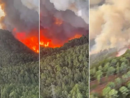 Tenerife în flăcări! Un imens incendiu de vegetație a cuprins pădurile insulei și amenință localitățile