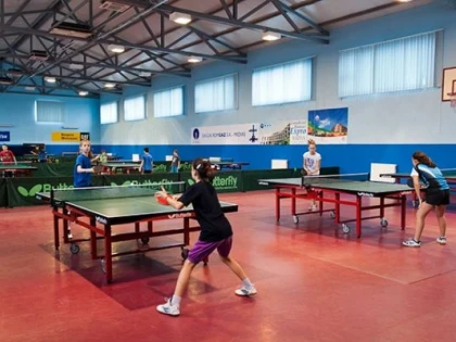 TENIS DE MASA: ARADEANCA ADELA STRUNA, PE LOCUL 5 LA TOP 12 JUNIORI IV 