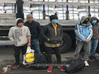 Tineri din Afganistan, depistați ascunşi printre saci cu orez şi seminţe de floarea soarelui