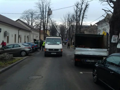 Toaletarea arborilor încurcă circulația