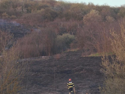 Tot mai multe incendii de vegetație uscată în județul Arad. Peste 75 de hectare afectate în doar trei zile
