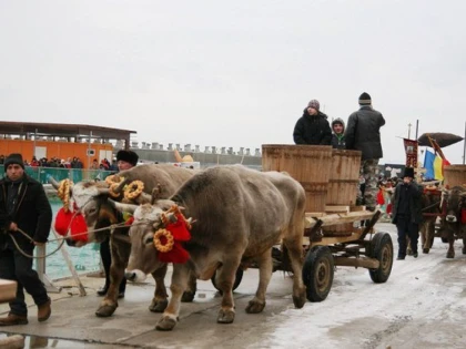 Tradiții și obiceiuri de Bobotează