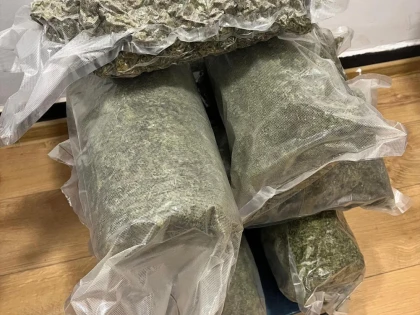 Traficant de droguri, reținut de SCCO Arad. A vândut peste 7,2 kilograme de canabis, într-o singură lună