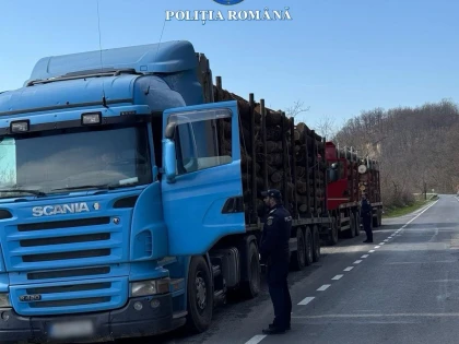 Transport ilegal de lemn depistat pe DN7. Amendă de 12.000 de lei și materialul confiscat