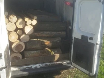 Transport ilegal de lemne, depistat de polițiștii din Lipova