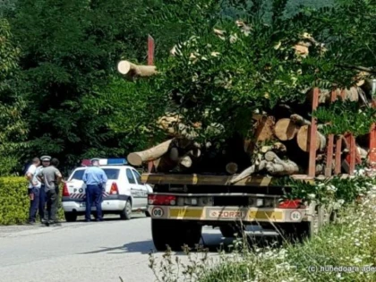 Transport ilegal de lemne, depistat de polițiștii din Sântana