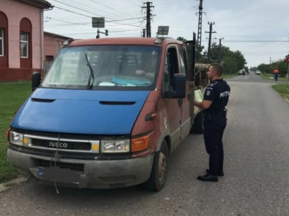 Transport ilegal de lemne, depistat la Frumușeni