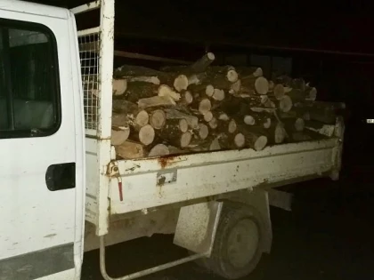 Transport ilegal de lemne, depistat la Lipova