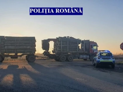 Transport ilegal de lemne, la Vărădia. Amendă de 12.000 de lei și lemnul confiscat