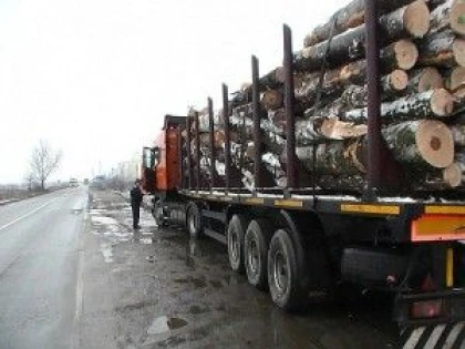 TRANSPORT ILICIT DE MATERIAL LEMNOS DEPISTAT LA SELEUS