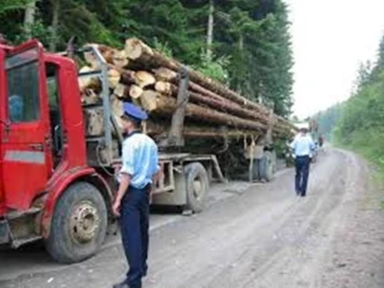 TRANSPORT ILICIT DE MATERIAL LEMNOS LA CONOP