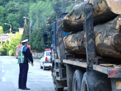 TRANSPORT ILICIT DE MATERIAL LEMNOS OPRIT DE POLITISTI