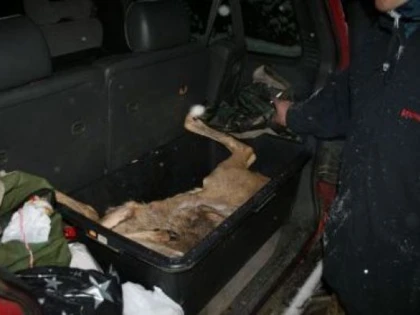 TREI BRACONIERI AU FOST PRINSI CU UN CERB IN PORTBAGAJ