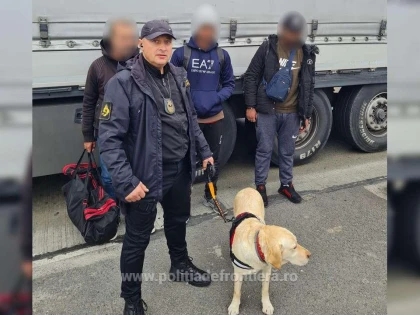 Trei migranți au încercat să treacă în Ungaria ascunși într-un TIR încărcat cu piese auto
