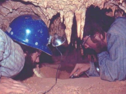 Trei noi specii de mamifere, descoperite în Insulele Cayman