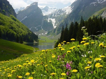 TU ȘTII CUM SĂ ARĂȚI NATURII CĂ O IUBEȘTI?