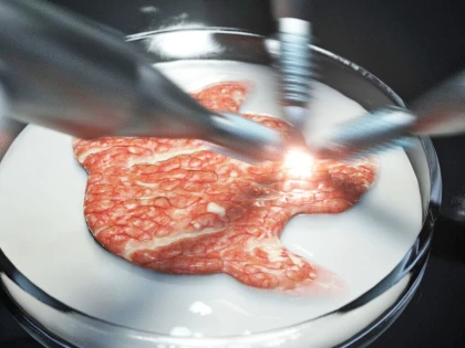 UE pregătește o nouă delicatesă: carnea sintetică