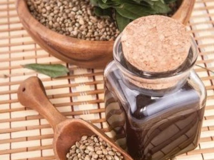 ULEIUL DE CANEPA: CE BENEFICII ARE