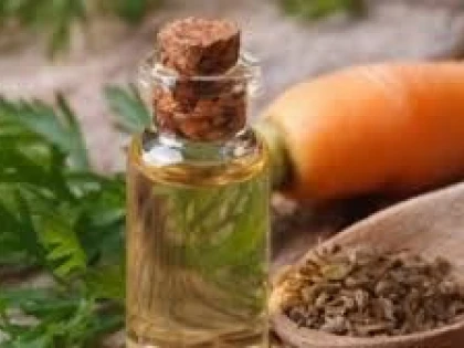 ULEIUL DIN SEMINTE DE MORCOV UN AJUTOR AL FRUMUSETII NATURALE