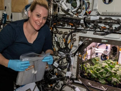 Un astronaut a cultivat prima recoltă de ridichi din Spațiu