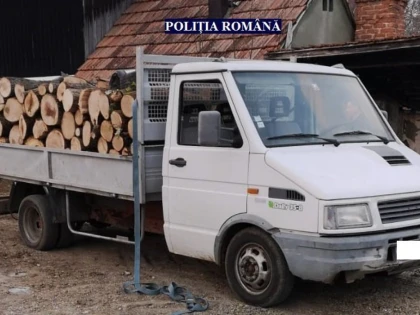 Un bărbat a fost prins la Săvârșin și fără permis și cu lemne fără aviz