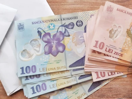 Un bărbat de 51 de ani a furat 660 de lei din locuința unui cetățean din Șiria