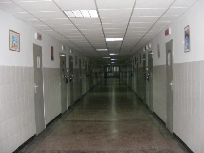 Un bărbat din Sintea Mare, încarcerat pentru doi ani și zece luni, pentru furt calificat