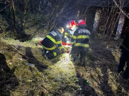 Un cățel a fost salvat de pompieri după ce a căzut într-o fântână