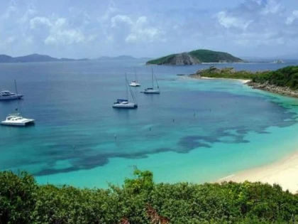 UN COLȚ DE PARADIS PE COASTA TASMANIEI, LA PREȚUL UNEI VILE