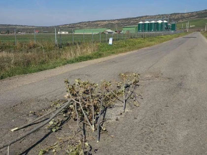Un drum judeţean, reabilitat în primăvară, este plin de gropi