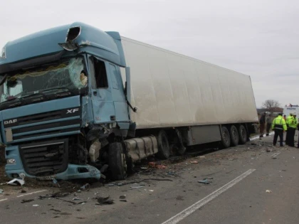 Un fazan a provocat un accident între Chişineu-Criş şi Zerind