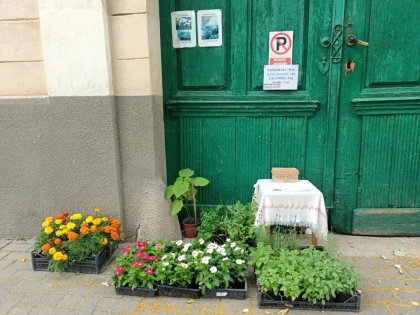 Un pecican își vinde produsele în fața casei. Clienții lasă banii într-o cutie, fără ca proprietarul să fie prezent