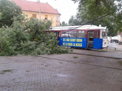 UPDATE (FOTO) POTOP LA ARAD: COPACI CAZUTI, STRAZI INUNDATE, TIGLE ZBURATE DE PE ACOPERISURI