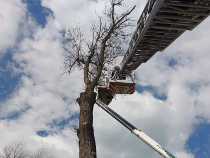 (UPDATE) Pompierii intervin pentru salvarea unui arădean blocat într-o nacelă, la o înălțime de 20 de metri