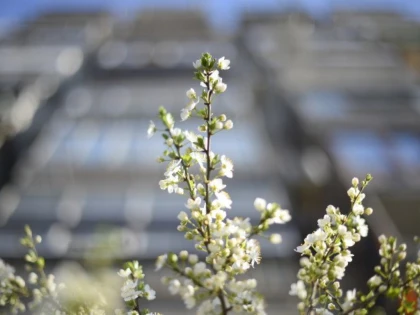 Urmează o lună cu temperaturi neobișnuite. Prognoza meteo pentru perioada 1-29 aprilie 2024