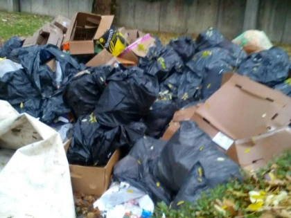USR Arad: Arădenii sesizează mizeria din parcul Eminescu la Biroul Cetățeanului