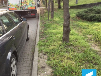 USR Arad propune facilitarea accesului mamelor cu cărucioare pe malul Mureșului