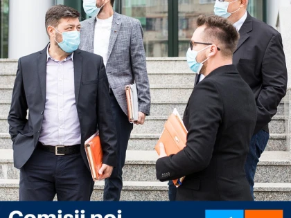 USR PLUS propune modificarea comisiilor în CJ Arad