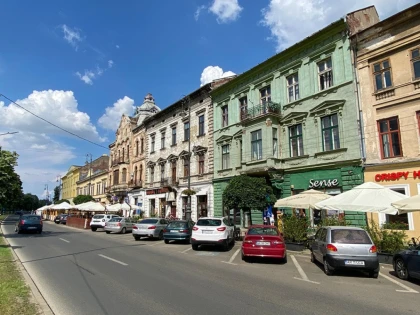 USR PLUS propune zonă pietonală pe bulevardul Revoluției