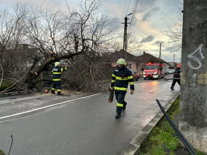 Vântul a făcut prăpăd: pompierii intervin pe mai multe străzi, pentru a îndepărta copacii căzuți