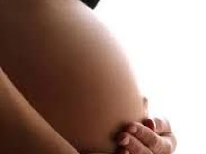 VIATA SECRETA A BEBELUSULUI DIN BURTICA