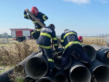Viața unui cățel s-ar fi putut sfârși în chinuri fără intervenția pompierilor arădeni