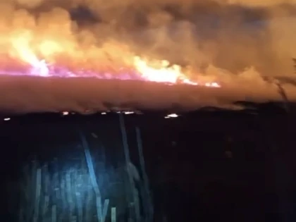 (VIDEO) Incendiu de vegetație lângă un parc fotovoltaic, la Chișineu-Criș. Zece hectare au fost afectate