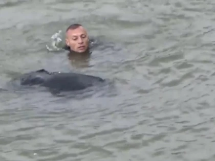 (VIDEO) O femeie a fost salvată de jandarmi, după ce s-a aruncat în Mureș