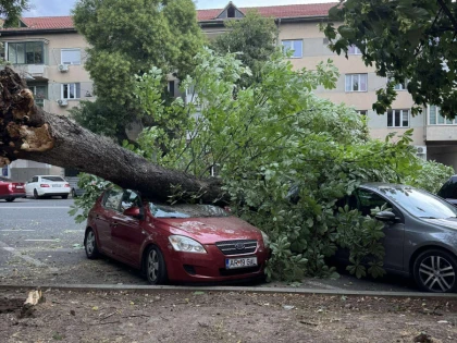 Vijelia a făcut ravagii în Arad. Zeci de intervenții ale pompierilor, în municipiu și județ