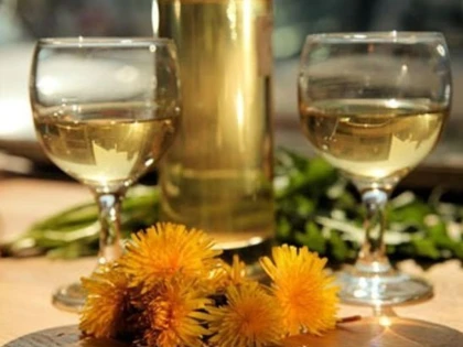 Vinul de păpădie, un tonic excelent